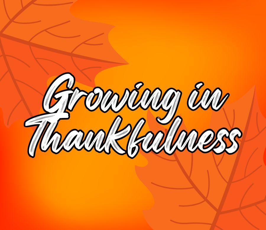 Growing In Thankfulness
